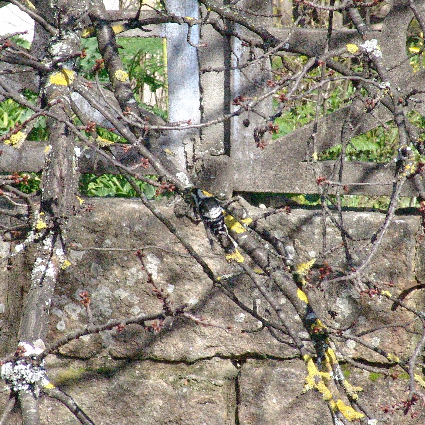 [DSC09868_2.jpg]
