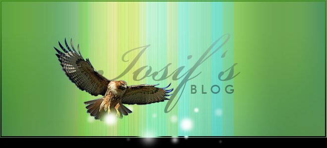 Iosif Simon's Blog