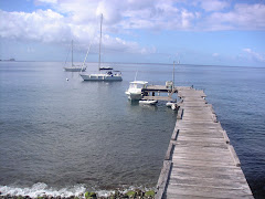 DOMINICA 2. Puerto deportivo