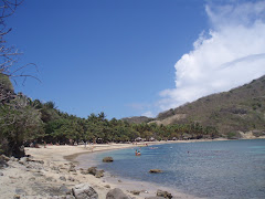 LES SAINTES. Una Playa