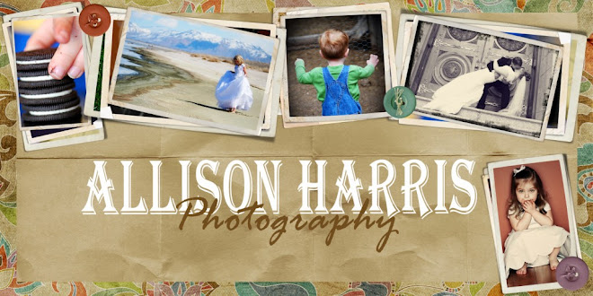 Allison Harris Photography