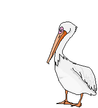 [pelicano13.gif]