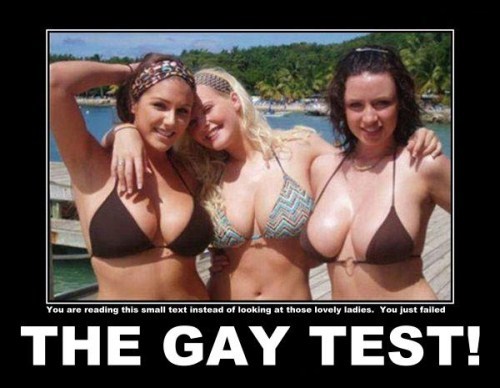 The Gay Test (10 Photos). by Mayur | 5:51 AM in Crazy Pictures | The Gay Test (10 Photos). by Mayur | 5:51 AM in Crazy Pictures |
