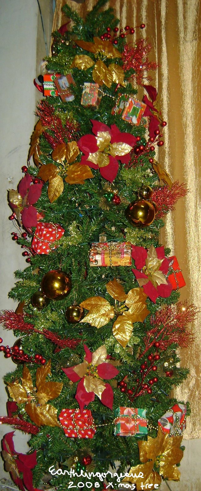 [EG2008tree.JPG]