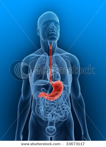 Costochondritis Food To Eat Costochondritis Food To Eat