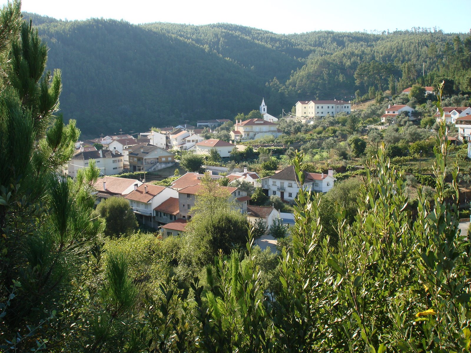 [DSC01408.JPG]