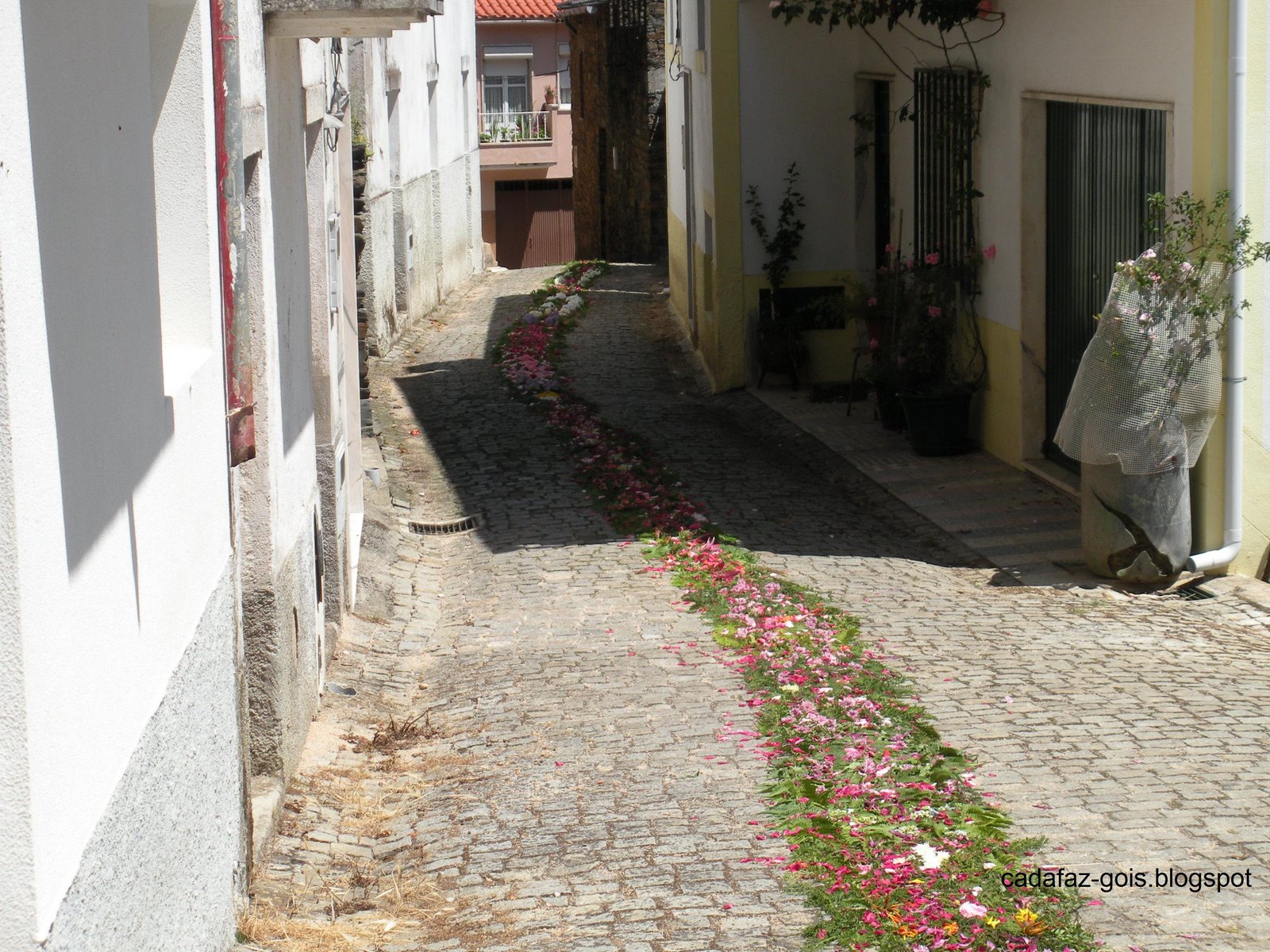 [DSCN0472.JPG]