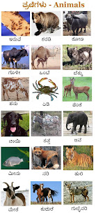 Learn Kannada - Worksheets