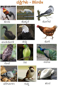Learn Kannada - Worksheets