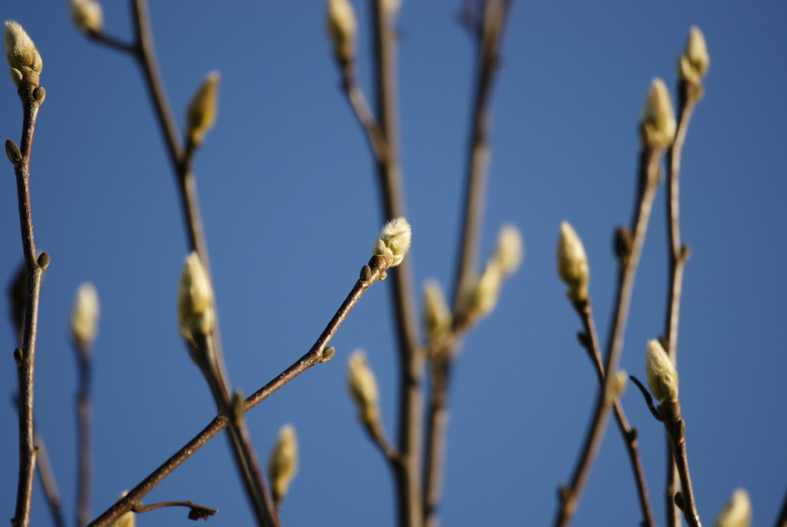 [DSC08118.JPG]