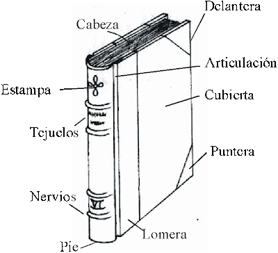 La Magia de los Colores: Fundamentos de la Teoria del Color (Coleccion Borges Soto) (Volume 6) (Spanish Edition)