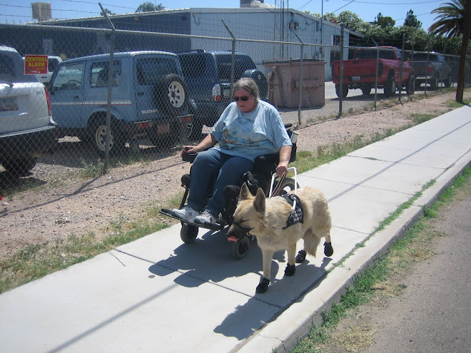 I think Shaman will be a good guide dog!