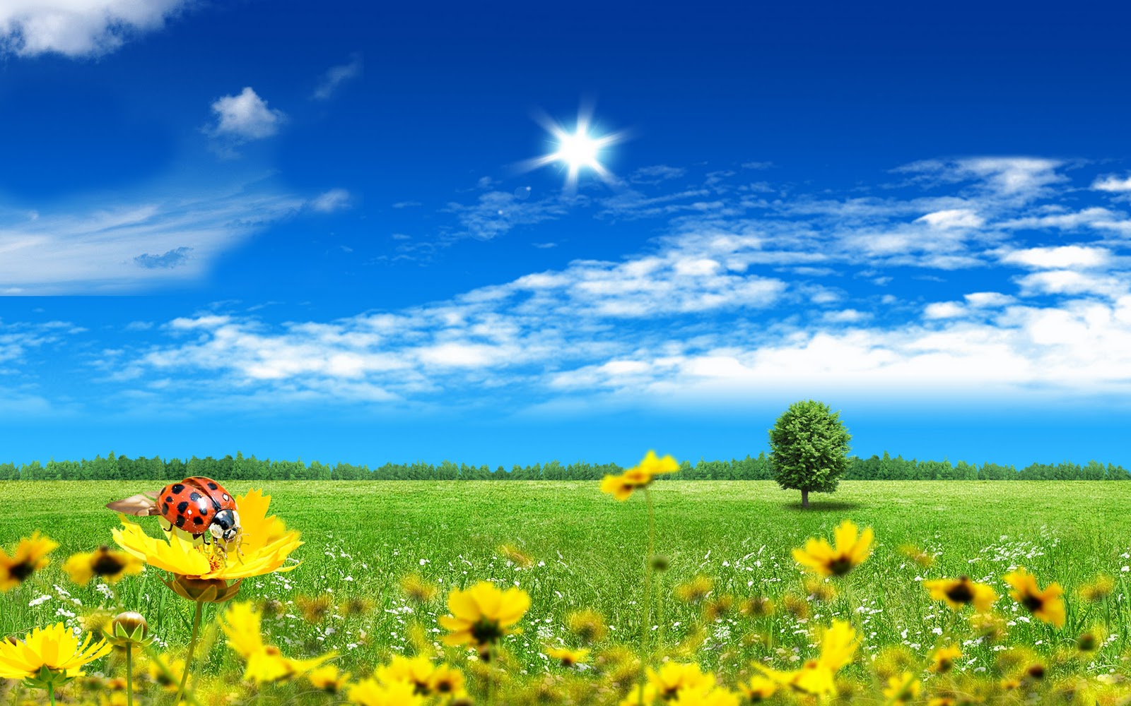 http://4.bp.blogspot.com/_ioD6UOQqcyA/TLi_LyI2MiI/AAAAAAAAGL8/pxt4bK6a3Iw/s1600/w47.jpg