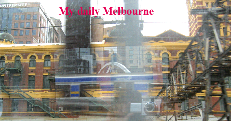 My daily Melbourne