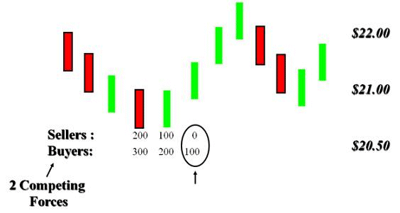 Sam seiden forex