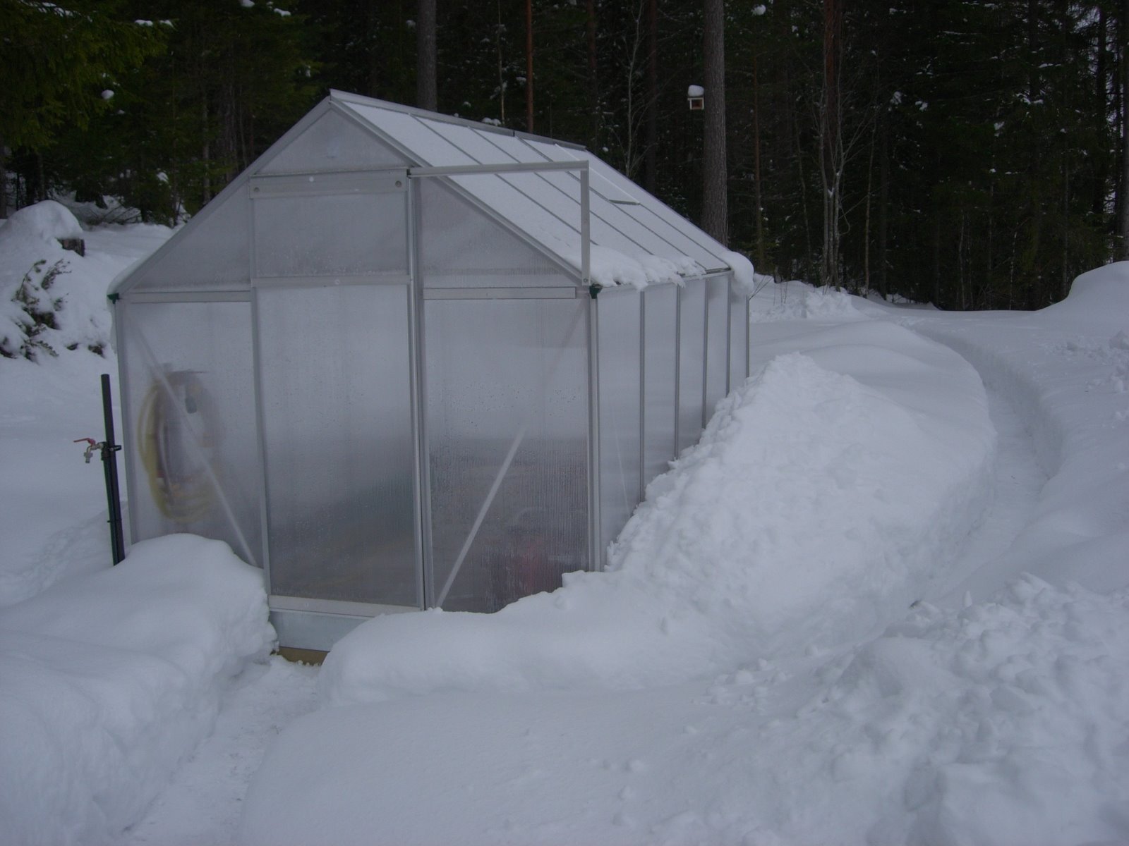 [dscn3689.jpg]