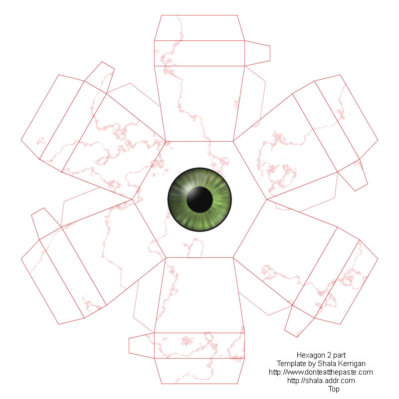 [eyeball_box1_top.jpg]
