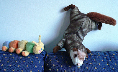 Turnübungen mit neuen Freunden