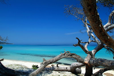 saleccia plage corse
