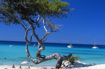 Plage de Saleccia en Corse