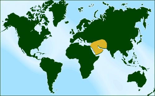 World+map+globe+australia