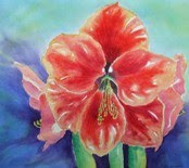 "Aunt Helen's Amaryllis"