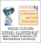 Kedai Cucian