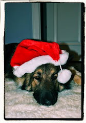 Rex is Santa!!