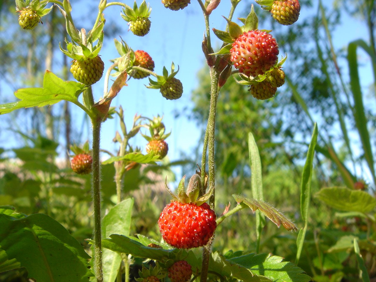 [DSC01616.JPG]
