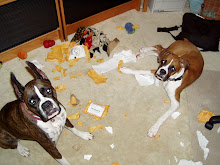 Simply Boxer Dogs
