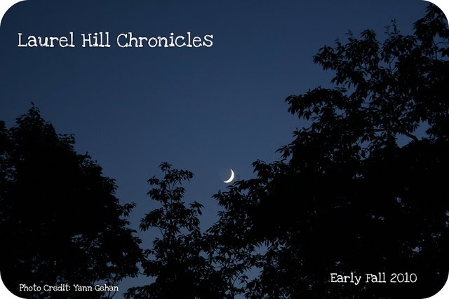 Laurel Hill Chronicles