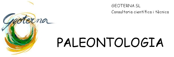 GEOTERNA, SL Paleontologia