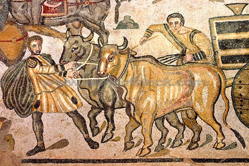 [oxen.jpg]