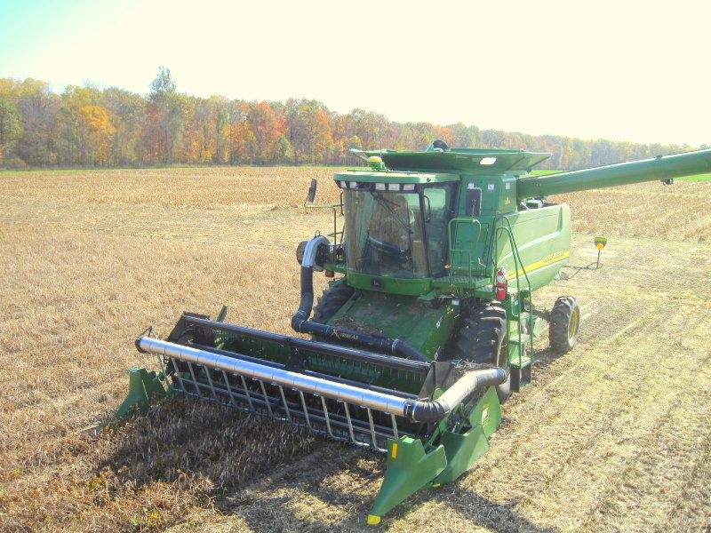 Land of LIQUID Black Bean Harvest and Planting Wheat