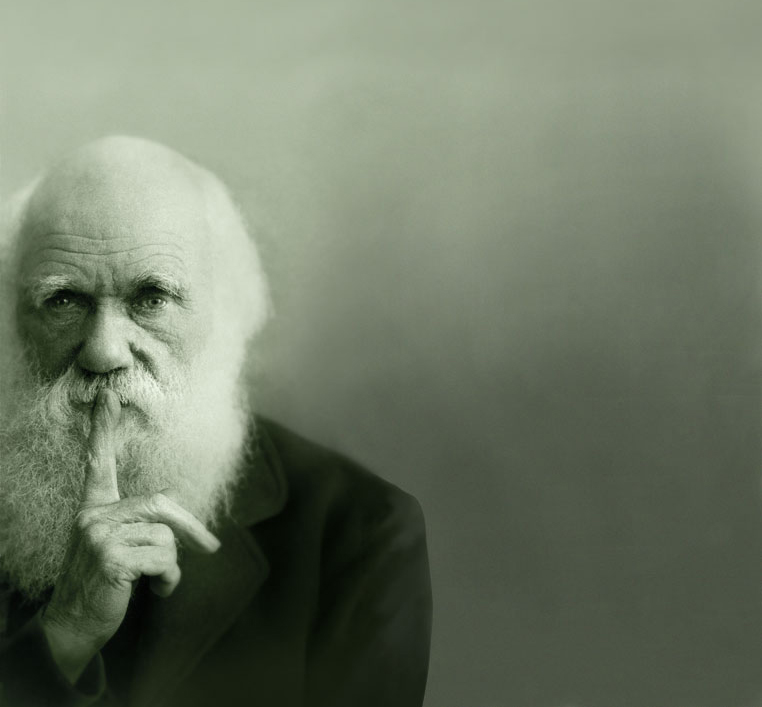 [darwin-bg.jpg]