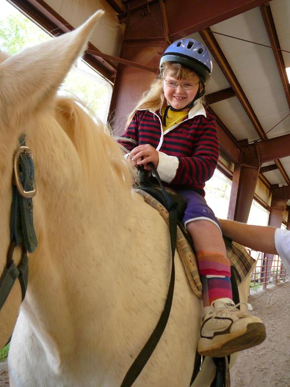 Horses Helping the Disabled Kingsbrook Animal Hospital