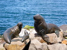Superbes bronzes au port d'Hobart