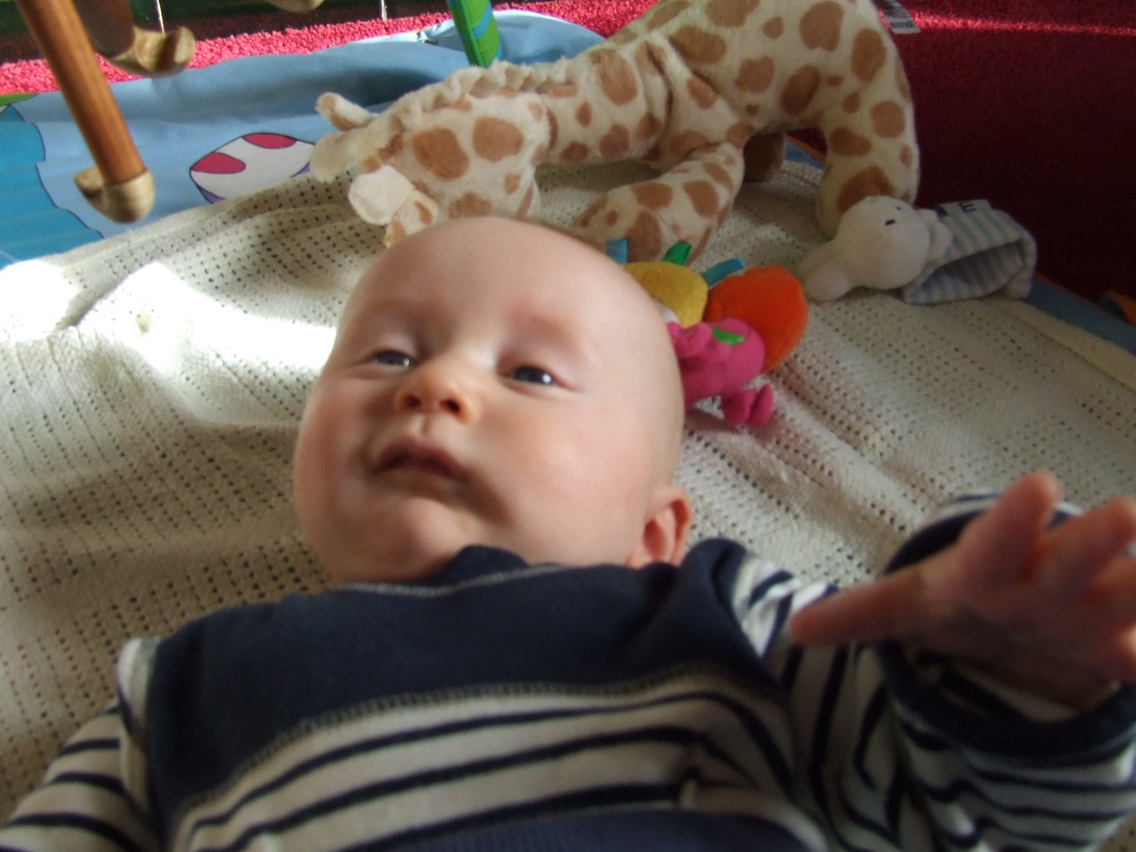 [DSCF0871.JPG]
