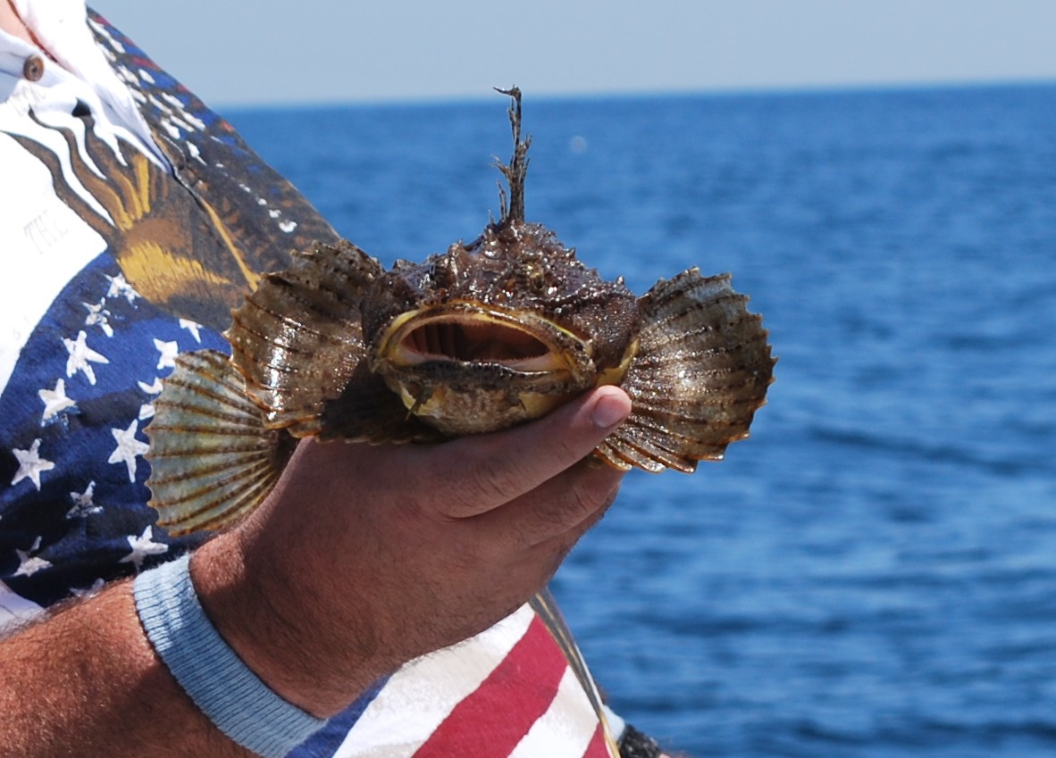 Longacre Photography Deep Sea Fishing in Maine