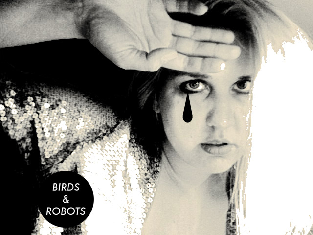 Birds & Robots