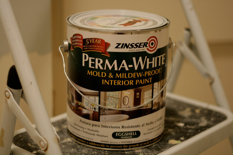 A Bluebonnet In Beantown Review Zinsser Perma White Mold