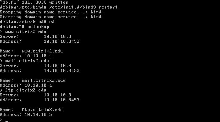 Nslookup Debian Install