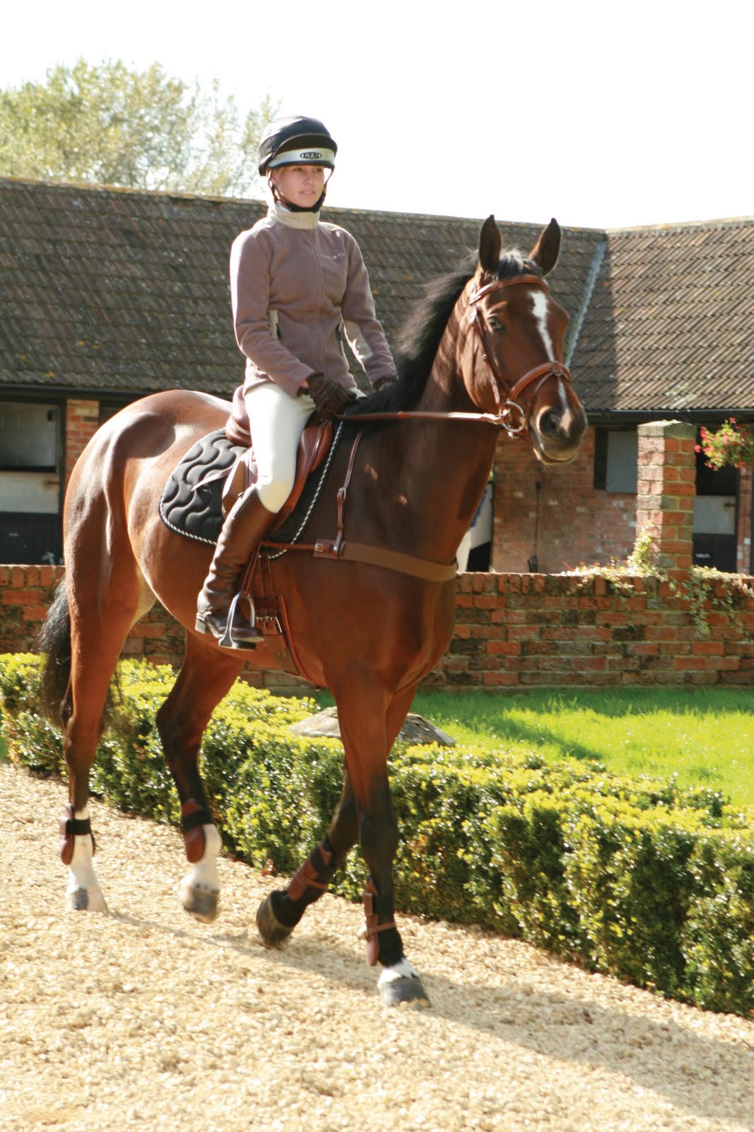 Dogwood London Blog Horse equipment = high fashion