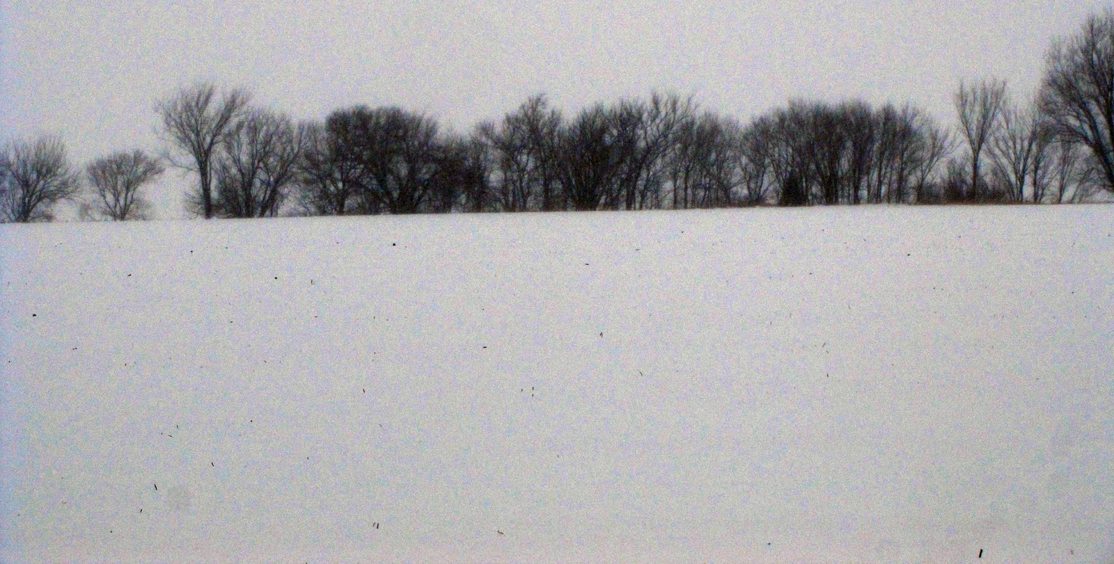 Mary's Be a GoodDog Blog Cold Kansas Snows in Winter (Addendum)