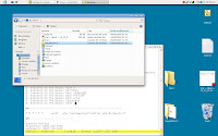 The Ubuntu vista beast