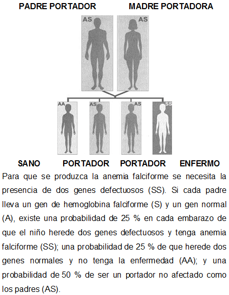 Sickle cell anemia