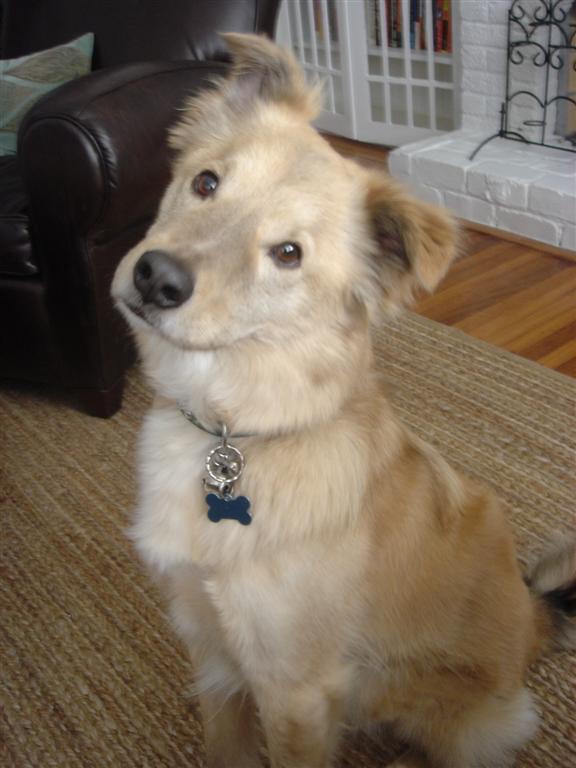 [DSC01036+(Large).JPG]