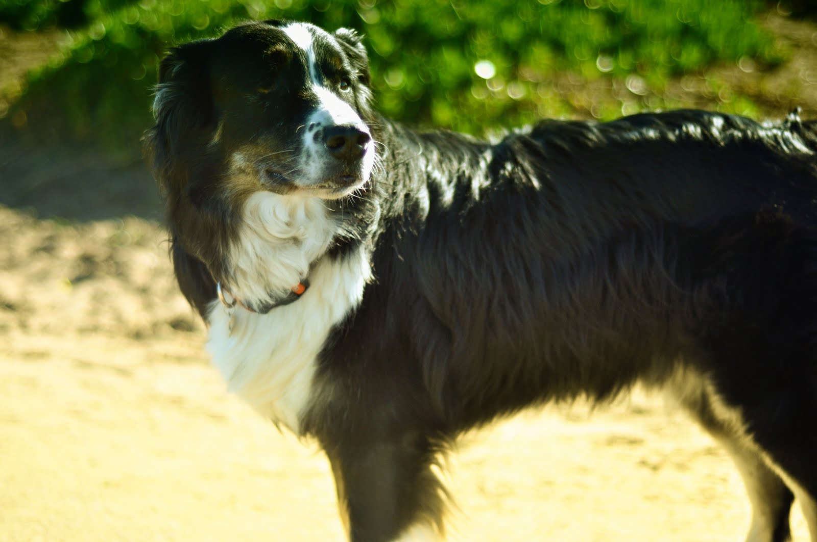 [2010-02-06+at+15-23-11.jpg]