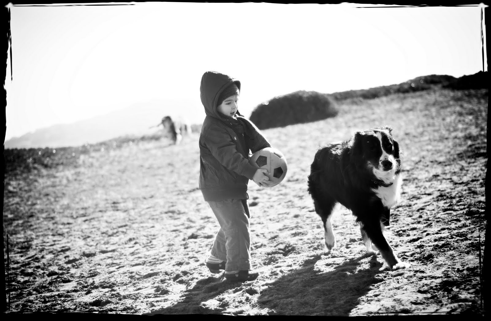 [2010-02-06+at+15-35-52.jpg]