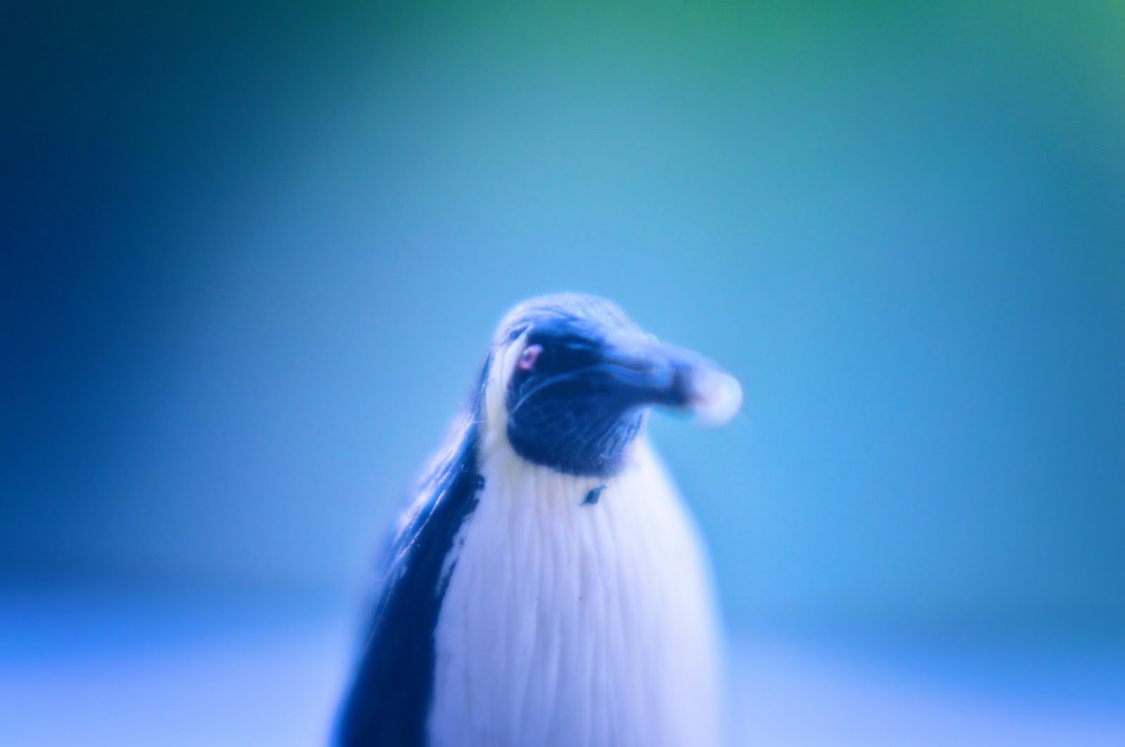 [2010-02-10+at+21-23-02.jpg]